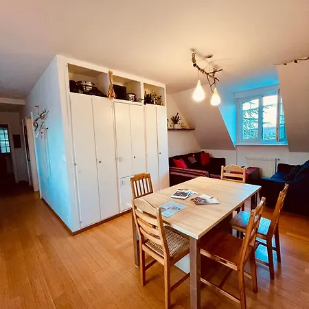 Apartmán Paradis Proche Du Et Du Campus Epfl Ecublens (Vaud)
